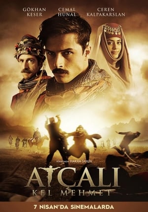 Atçali Kel Mehmet (2017) Hindi Dual Audio HDTVRip 300MB HD Poster Download - filmyfly