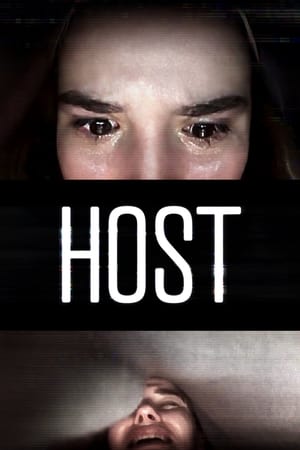 Host 2020 Hindi Dual Audio 220MB HD Poster Download - filmyfly