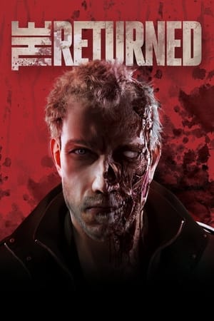 The Returned 2013 Dual Audio Hindi 300MB HD Poster Download - filmyfly